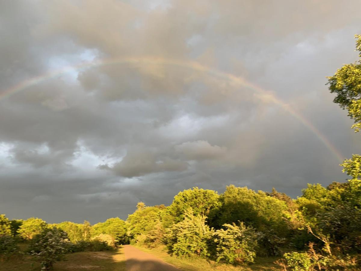 Eco Lodge Duin- Unieke Locatie -Strand, Duin En Nabij Cultuursteden Castricum Luaran gambar