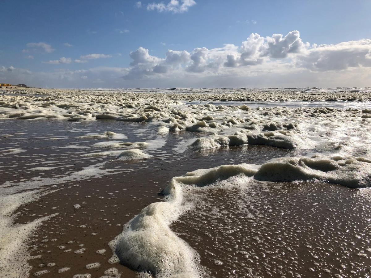Eco Lodge Duin- Unieke Locatie -Strand, Duin En Nabij Cultuursteden Castricum Luaran gambar